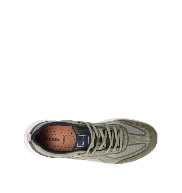 GEOX Sneaker uomo militare