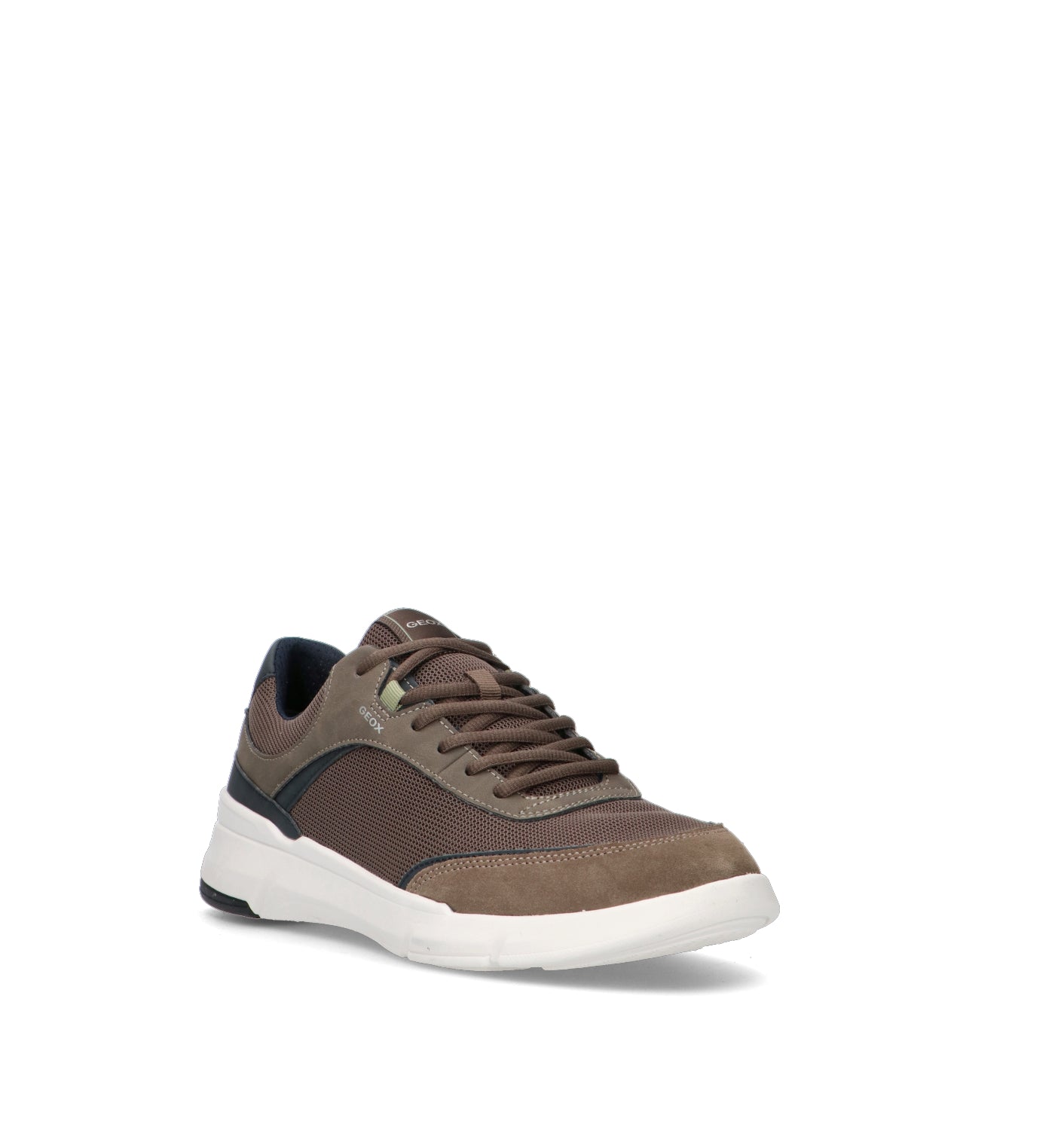 GEOX Sneaker uomo marrone