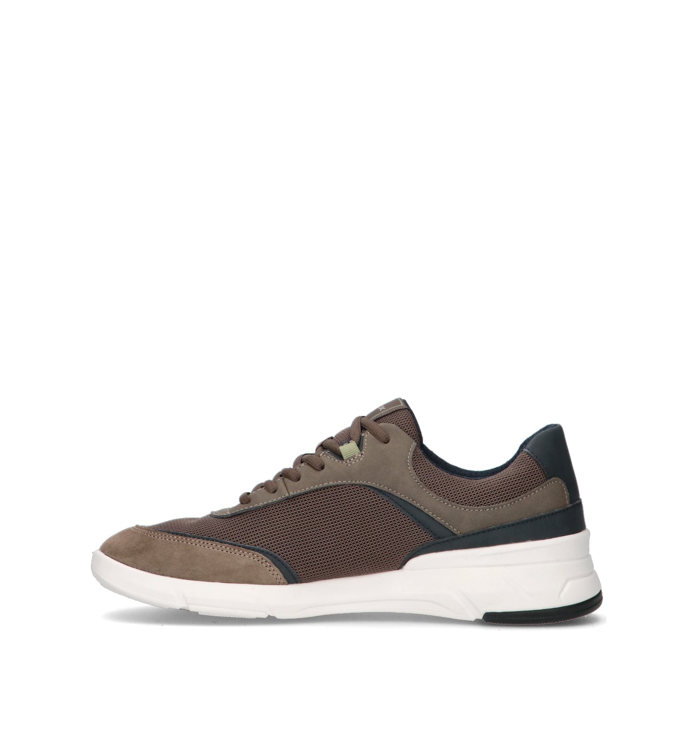 GEOX Sneaker uomo marrone