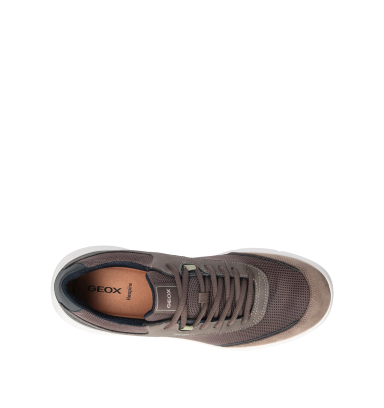 GEOX Sneaker uomo marrone