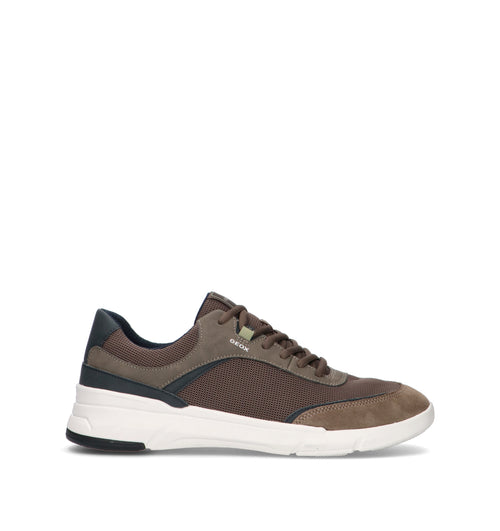GEOX Sneaker uomo marrone