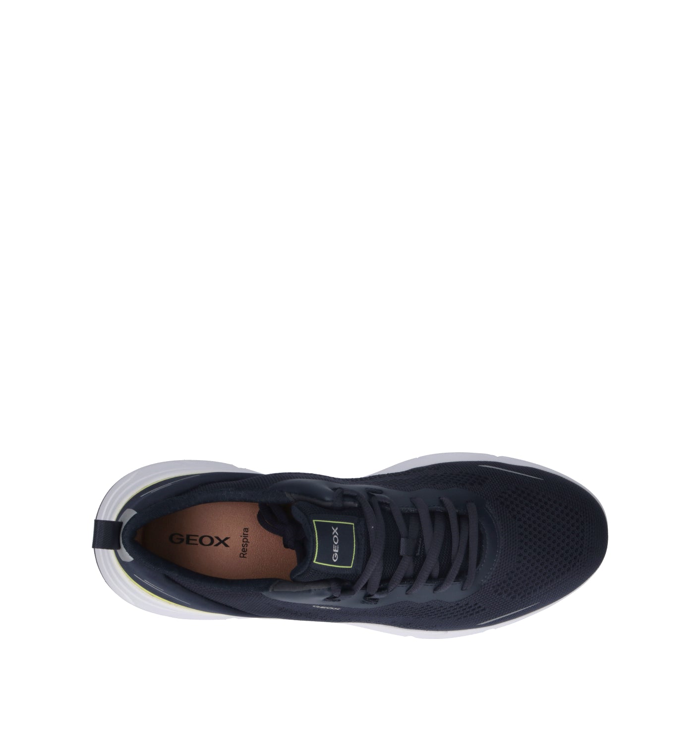 GEOX Sneaker uomo blu