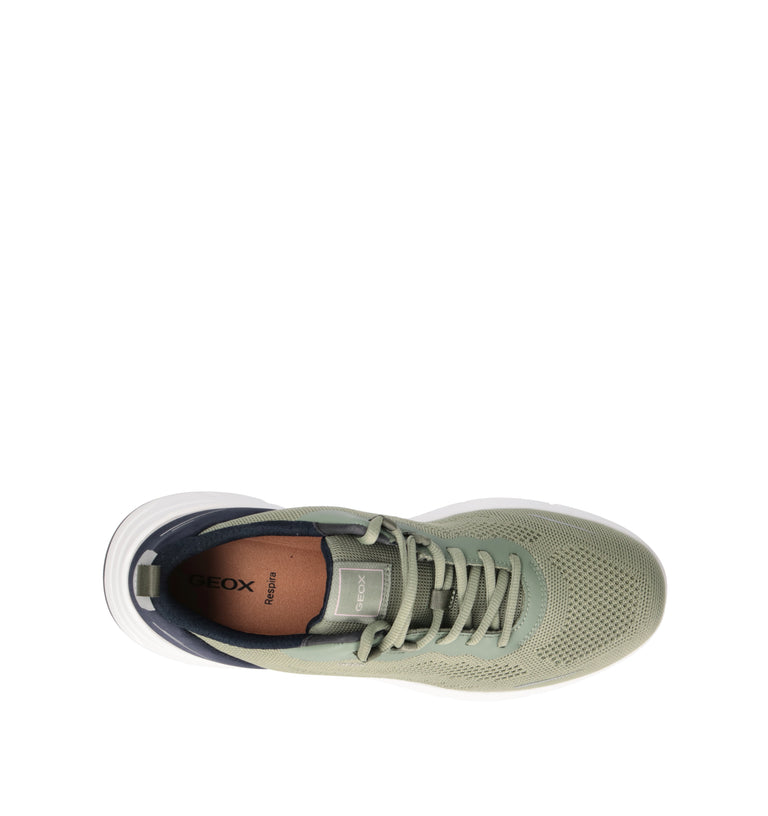 GEOX Sneaker uomo verde