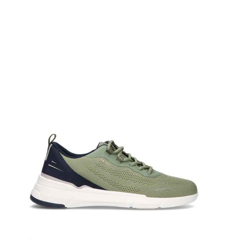 GEOX Sneaker uomo verde